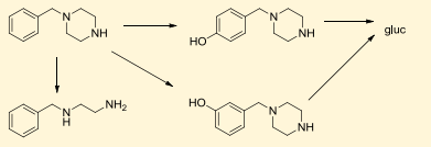 Development of a Novel Benzylpiperazine ELISA Assay for Urine and Blood