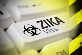 Zika Virus Detection