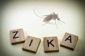 Molecular Zika Virus Test