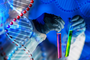 Elimination of HIVDNA in Animal Cells