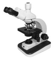Microscope