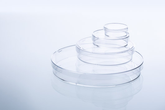 Greiner Bio-One CellStar dish, PS, 145 x 20mm, 141cm2, Sterile, TC Treated, Vented
