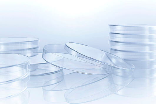 Greiner Bio-One Petri dish, PS, 145 x 20mm, 141cm2, Sterile, Triple Vented