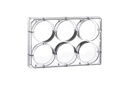 Greiner Bio-One CellStar, 6W Plate, PS, Sterile, Flat BOT, Chimney Style, w/ Lid