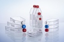 Greiner Bio-One Advanced TC T175 Cell Culture Flask,Lo profile, Filter Cap, Sterile