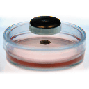 Greiner Bio-One Imaging Kit