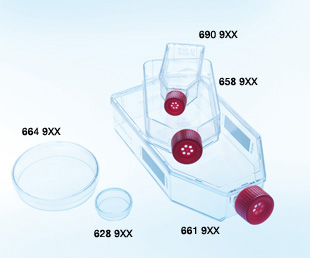 Greiner Bio-One CellCoat, T75 Flask, 250ml, Coated w/Poly-L-Lysine, Canted Neck, w/ Filter Cap