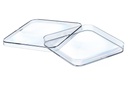 Greiner Bio-One Petri Dish, SQR, PS, 120MM x 120MM x 15MM, 142cm2, Single Vented