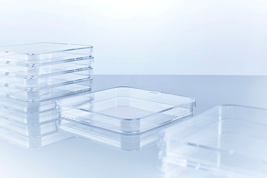 Greiner Bio-One Petri Dish, SQR, PS, 120MM x 120MM x 15MM, 142cm2, Single Vented