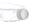 Greiner Bio-One T25 CellStar Cell-Repellent Surface, sterile, filter cap