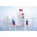 Untitled design (93).webp