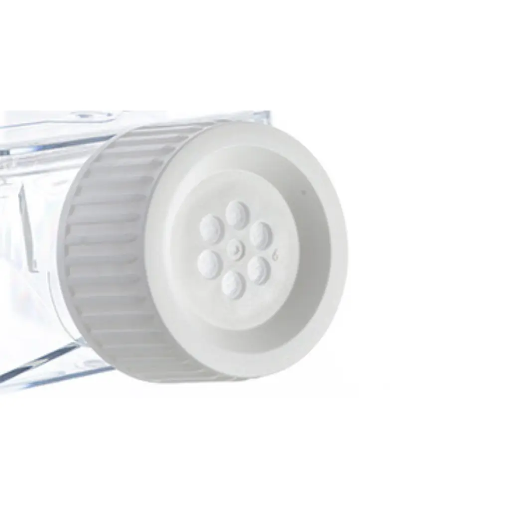 Untitled design - 2025-09-30T144744.949.webp