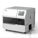 Block Top 100 (77).webp