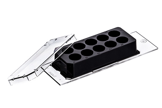 Greiner Bio-One Cellview Cell Culture Slide, PS 75/25MM, Glass BOT, 10 Compart., Advanced TC, ST