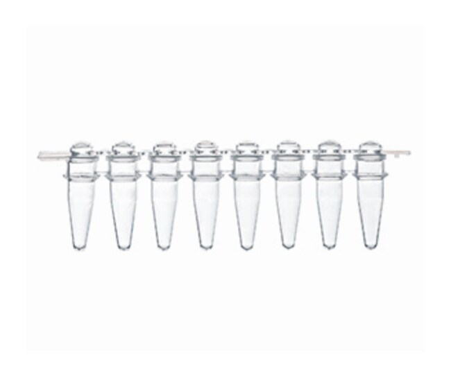 Greiner Bio-One Sapphire PCR 0.2ml strips with attached strip of optical caps for Real Time PCR, Clear