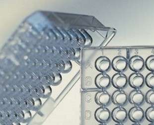 96W Plate, PS, Sterile, Round (U) Bottom, Clear, Case of 375