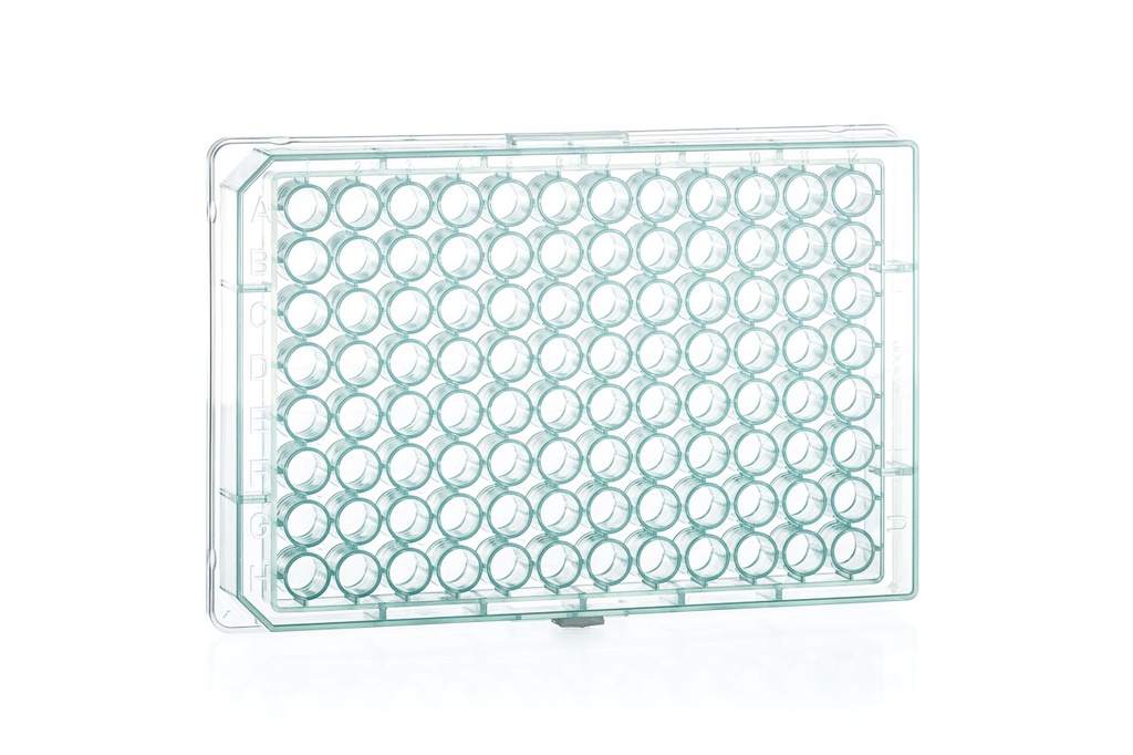 96W Plate, PP, Round (U) Bottom, Chimney Style, Green, Case of 100