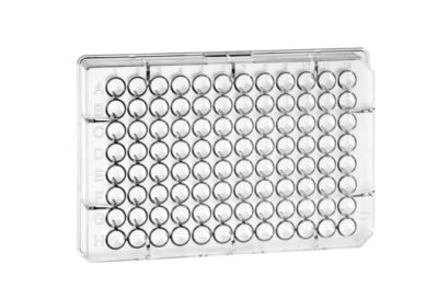 Greiner Bio-One 96W CellStar Plate, PS, Sterile, Conical Bottom, Clear, w/Lid