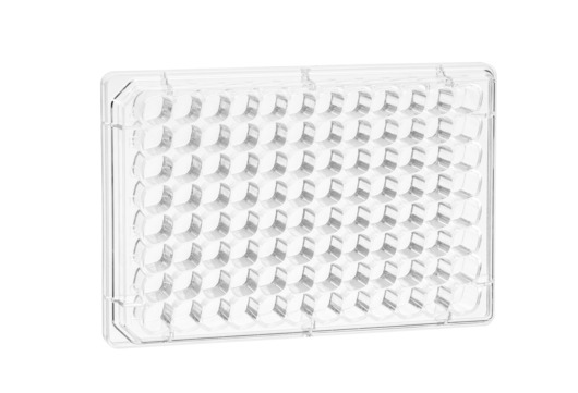 Greiner Bio-One ThinCert 96 Well HTS Insert (receiver plate), PS, F-Bottom, Clear, TC treated, Sterile, with Condensation Ring Lid