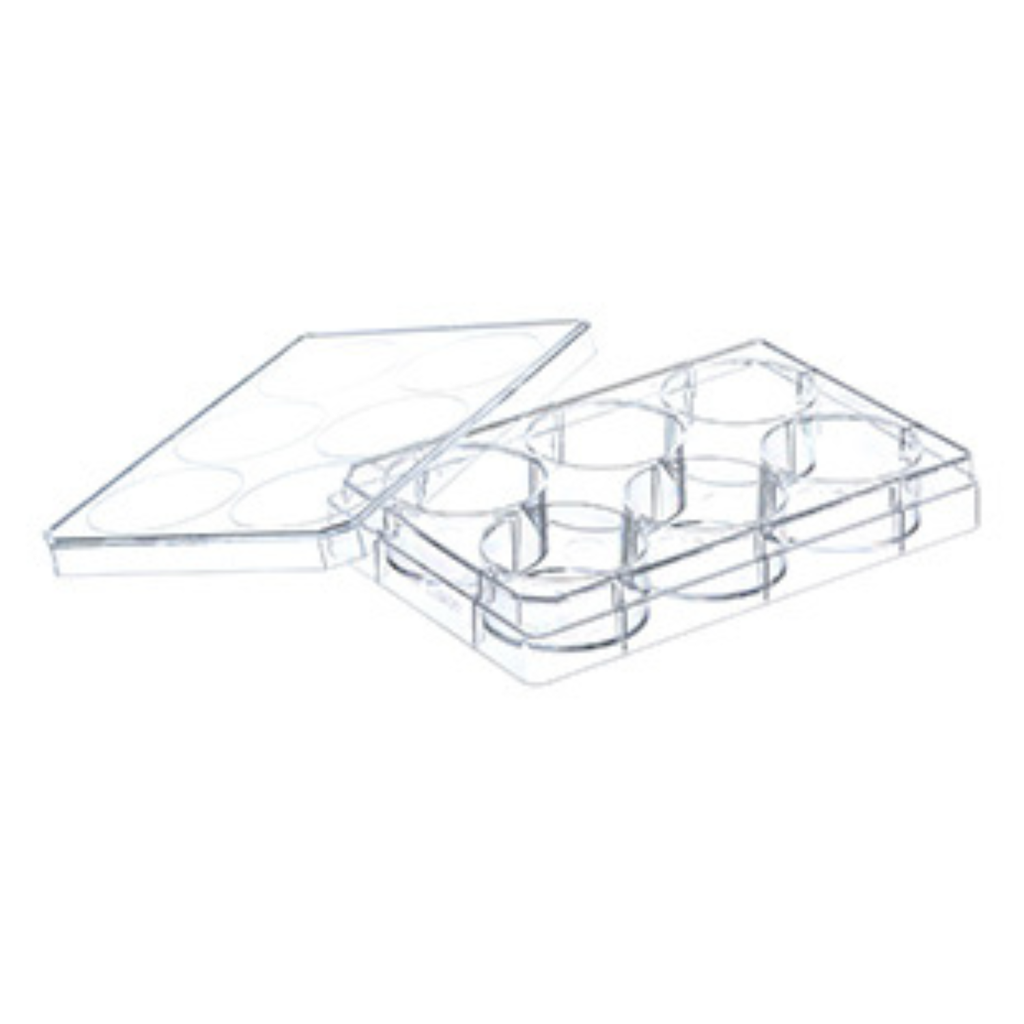 CELLSTAR, 6W Plate, PS, TC Treated, Sterile, Flat BOT, Chimney Style, w/ Lid, Case of 120