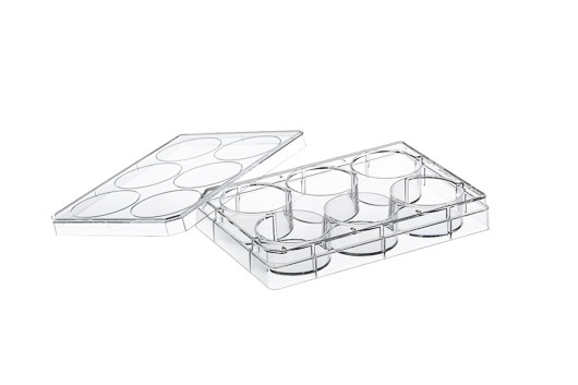 Greiner Bio-One CellCoat, 6W Plate, PS, Coated w/ Collagen Type I, Flat BOT, Chimney Style, CLR, w/ Lid