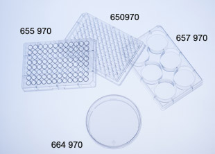 Greiner Bio-One CellStar 6 well plate, cell-repellent surface, clear, sterile, with lid