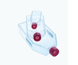 CELLCOAT, T75 Flask, 250mL, Coated w/Poly-L-Lysine, Canted Neck, w/ Filter Cap, Case of 50