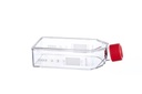 Greiner Bio-One CellCoat, T75 Flask, 250ml, Coated w/ Collagen Type I, Canted Neck, w/ Filter Cap