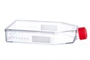 Greiner Bio-One CellStar T175 Flask, 550ml, TC Treated, Sterile, Lo-Profile, Canted Neck, w/ Plug Seal Cap