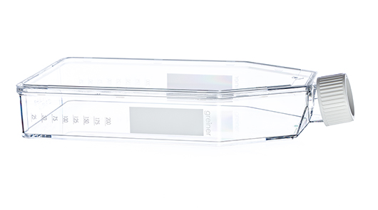 Greiner Bio-One CellStar T175 Flask, 550ml, Sterile, Lo-Profile, Canted Neck, w/ Plug Seal Cap