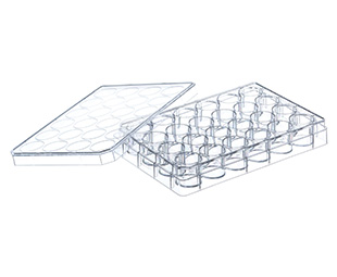 Greiner Bio-One Cell Culture Multiwell Plate, 24 Well, PS, Clear, Lid With Condensation Rings, Sterile, 5 Pcs./Bag
