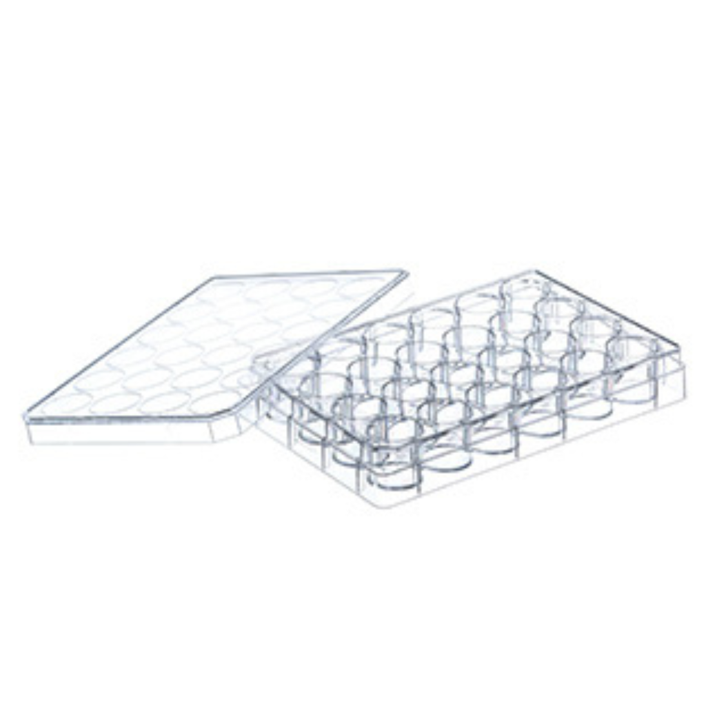 Greiner Bio-One Cell Culture Multiwell Plate, 24 Well, PS, Clear, Lid With Condensation Rings, Sterile, 5 Pcs./Bag
