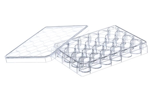CELLCOAT, 24W Plate, PS, Coated w/ Poly-D-Lysine, Flat BOT, Chimney Style, w/ Lid, Case of 50