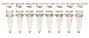 Greiner Bio-One COMBO Sapphire RT PCR 0.2ml strip tubes, standard profile, clear, strip caPS caPS in same box