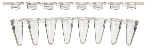 COMBO Sapphire RT PCR 0.2ml strip tubes, low profile, clear, strip caps in same box, Case of 1250