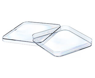 Petri Dish, SQR, PS, 120mmx120mmx15mm, 142cm2, Single Vented, Sterile, Case of 240