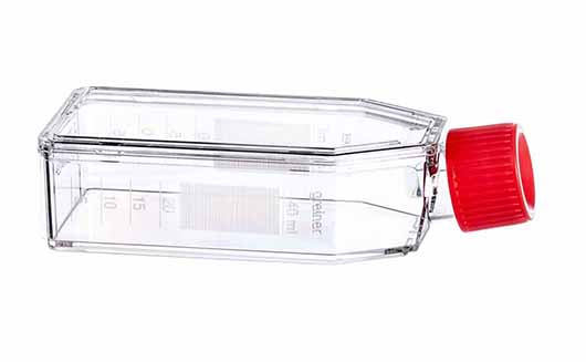 Greiner Bio-One CellStar T25 Flask, 50ml, TC Treated, Sterile, Canted Neck, w/ Plug Seal Cap