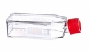 Greiner Bio-One CellStar T25 Flask, 50ml, TC Treated, Sterile, Canted Neck, w/ Plug Seal Cap