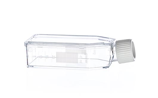 Greiner Bio-One CellStar T25 Flask, 50ml, Sterile, Canted Neck, w/ Plug Seal Cap
