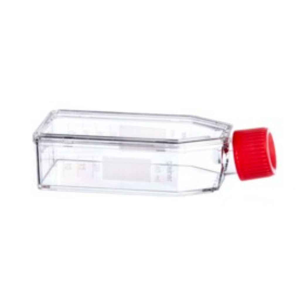 Greiner Bio-One CellCoat, T25 Flask, 50ml, Coated w/ Poly-D-Lysine, Canted Neck, w/ Filter Cap