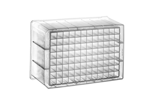 96 Deep Well MASTERBLOCK Storage Plate, PP, Sterile, 2 mL/well, Square Wells, Conical Bottom, Natural, Case of 50