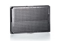 Greiner Bio-One Cell Culture Microplate, 384 Well, PS, F-Bottom, ΜClear®, Black, Lid, TC, Sterile, 20 Pcs./Bag
