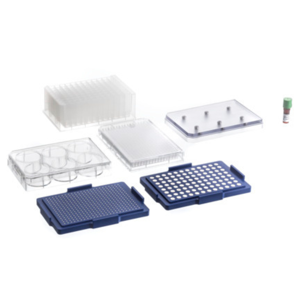 Greiner Bio-One 384-Well BiO Assay™ Kit