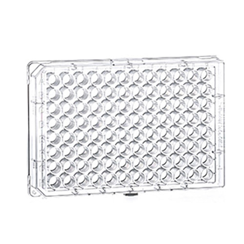 384W Streptavidin-coated Plate, PS, Black uClear, Case of 40