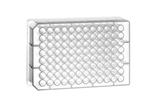 96 Deep Well MASTERBLOCK Storage Plate, PP, Sterile, 0.5 mL/well, Conical Bottom, Natural, Case of 80