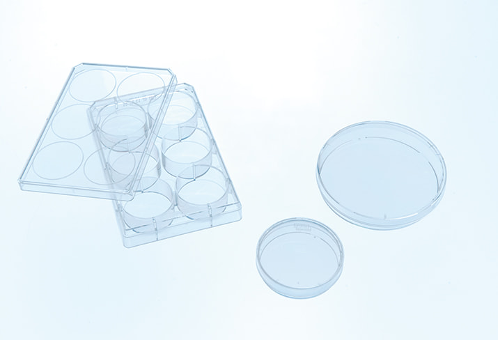 CELLCOAT TC-Flask, 250 ML, 75 CM2 PDL, Case of 5