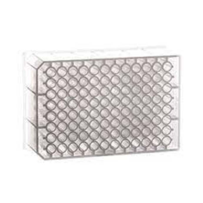 96 Deep Well MASTERBLOCK Storage Plate, PP, Sterile, 0.5 mL/well, Conical Bottom, Natural, Case of 80