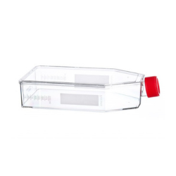 Cell Culture Products
