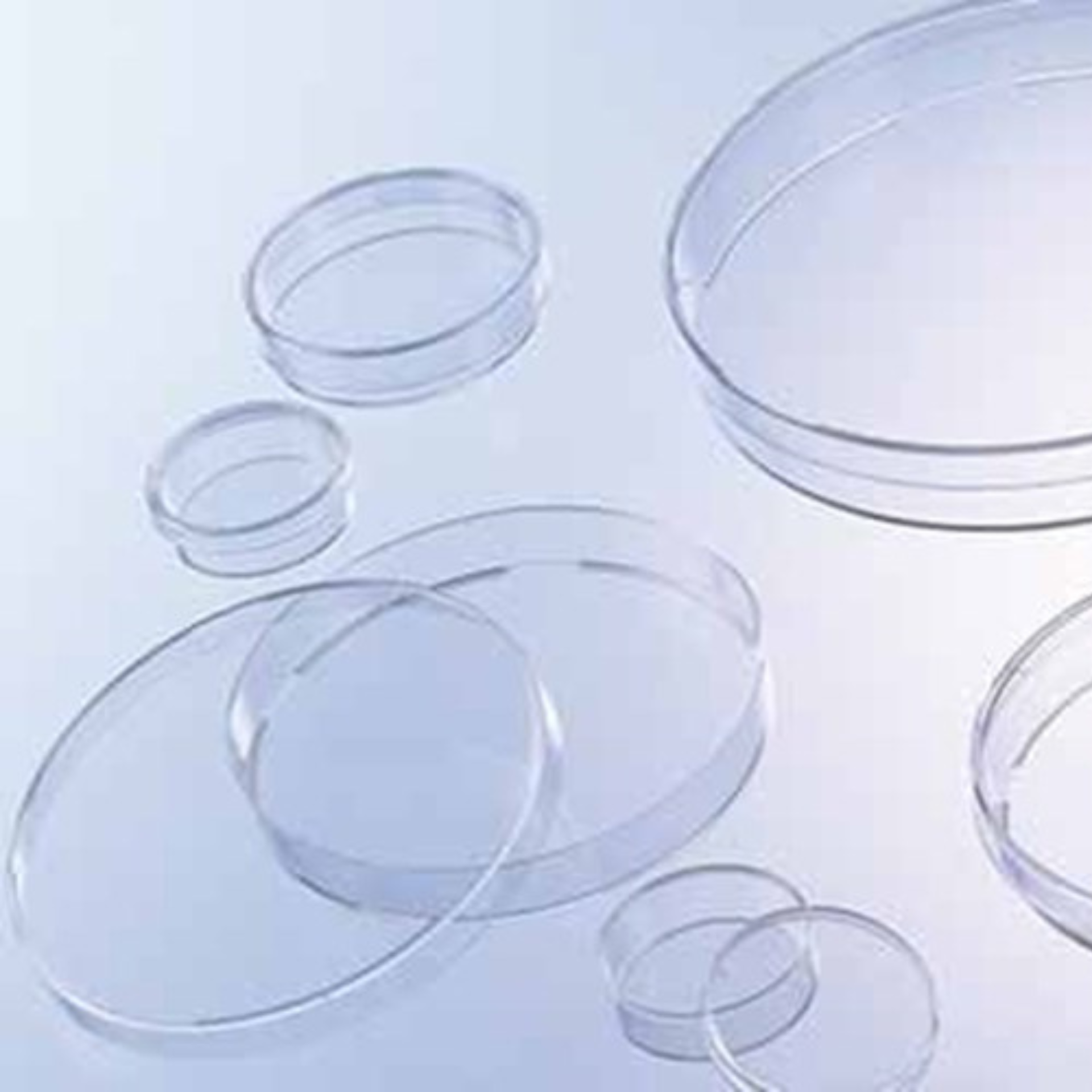 Petri & Contact Dishes