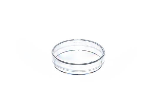 Greiner Bio-One Petri Dish, 60 x 15 mm, 21 cm2, Vented (6)